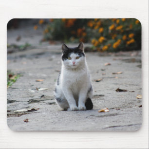 Cat, White, Pet Mouse Mat