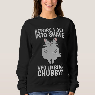 CAT, WHO LIKES BE CHUBBY? FUNNY T-SHIRTS