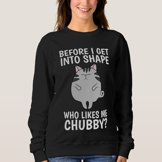 CAT, WHO LIKES BE CHUBBY? FUNNY T-SHIRTS (Front)