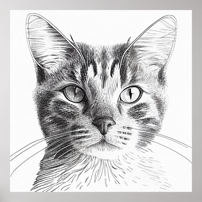 Cat Wild Nature Animal Illustration Art Drawing Poster (Front)