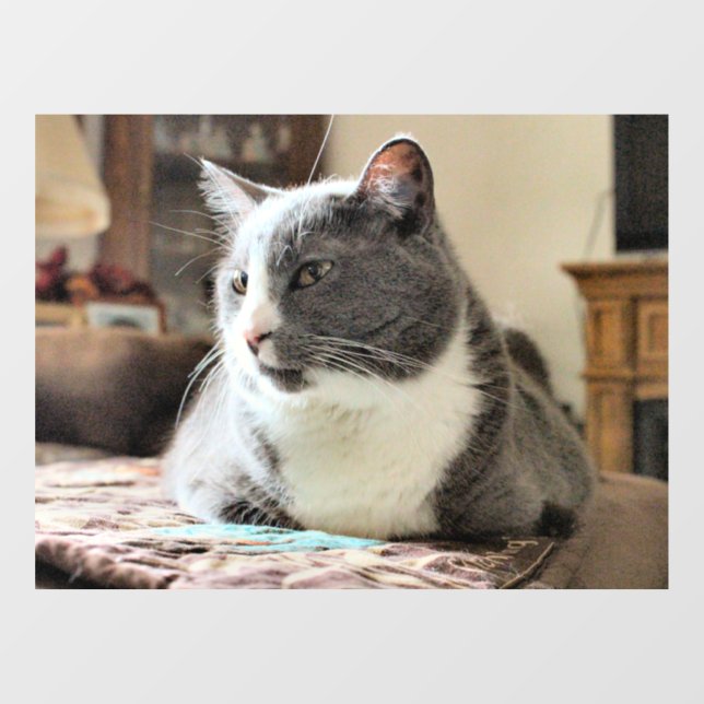 Cat Window Cling (Sheet)