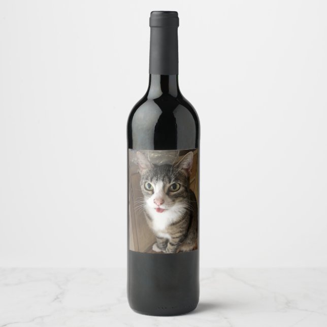 Cat Wine Label (Front)
