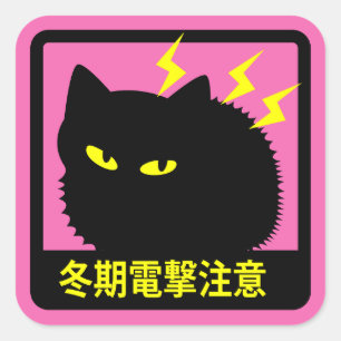 CAT WINTER LIGHTNING WARNING STICKER