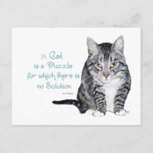 Cat Wisdom - a Cat is a Puzzle Postcard