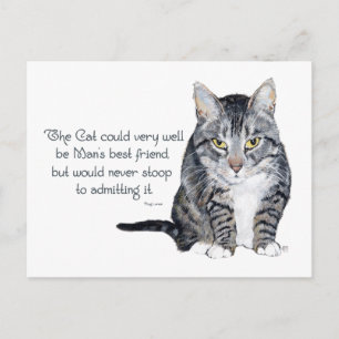 Cat Wisdom - and Friendship Postcard