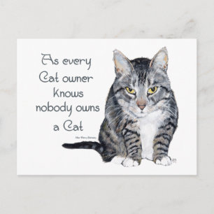 Cat Wisdom - as every Cat owner knows Postcard
