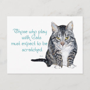 Cat Wisdom - Playing to be Scratched? Postcard