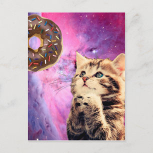 Cat wishing doughnut postcard