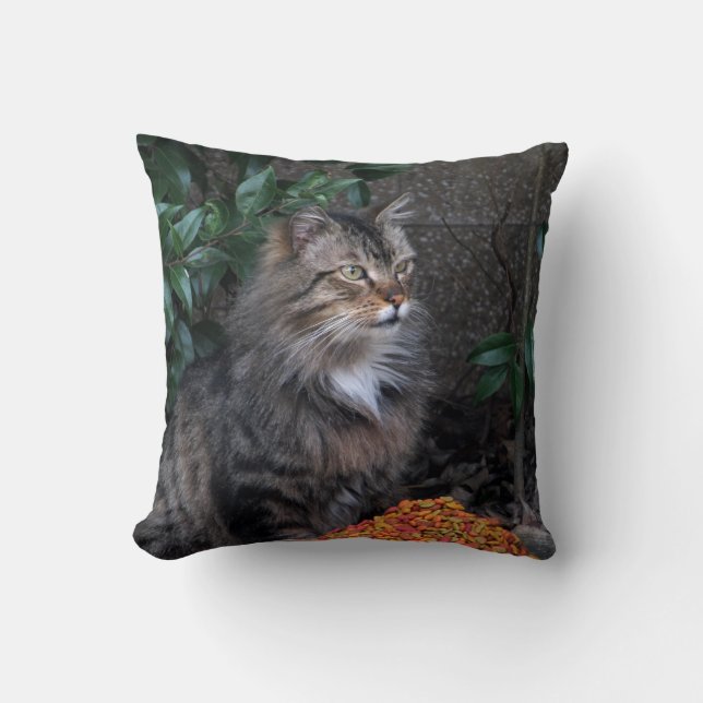 Cat With a Grateful Heart Pillow (Front)