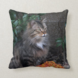 Cat With a Grateful Heart Pillow