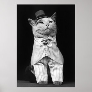 Cat With a Hat, 1906 Poster