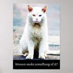 Cat with an attitude poster