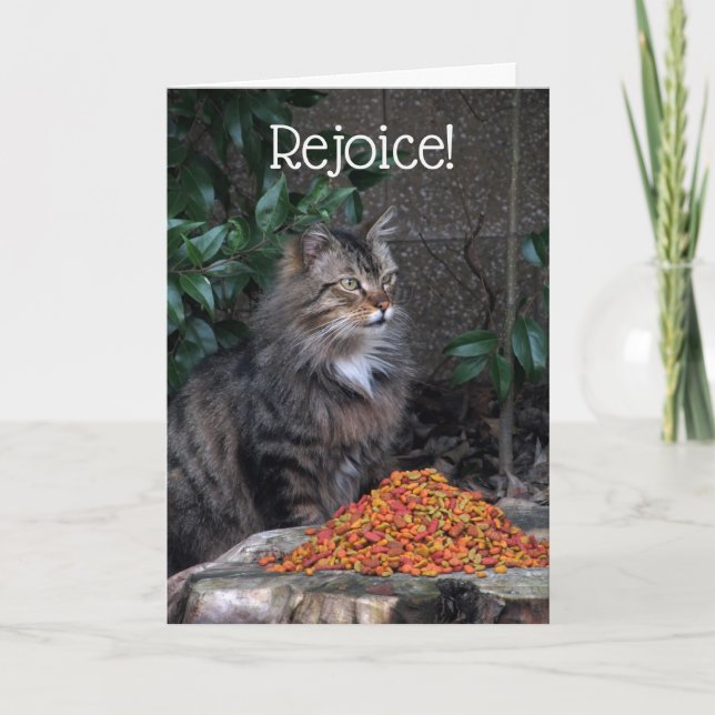 Cat With an Easter Miracle Card (Front)