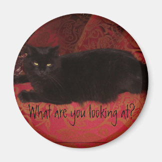 Cat with Attitude Magnet