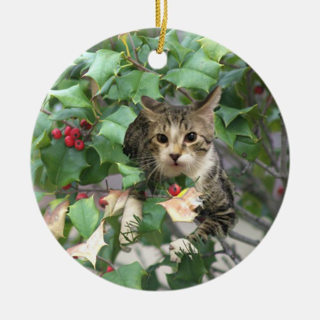 Cat with Berries Holly Ornament (Front)