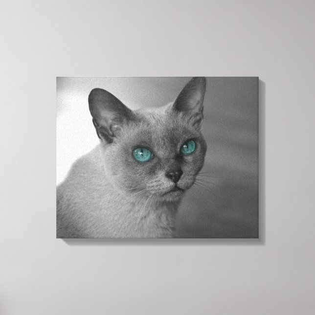 Cat with blue Eyes Canvas Print (Front)