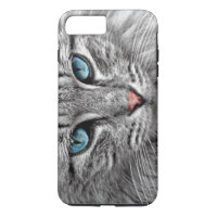 Cat with Blue Eyes Pink Nose and Grey Fur