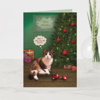 Cat with broken Christmas Ornament Holiday Card