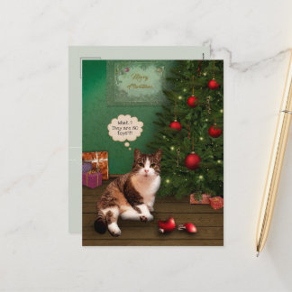 Cat with broken Christmas Ornament Holiday Postcard