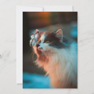 Cat with butterfly on its nose  holiday card