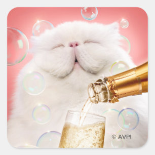 Cat With Champagne Square Sticker