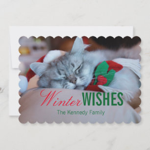 Cat with christmas hat and scarf, sleeping cat holiday card