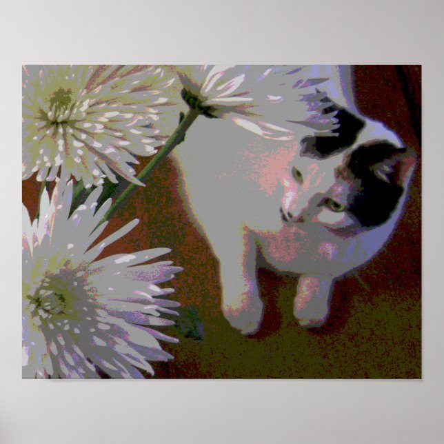 Cat with Chrysanthemums fine art print (Front)