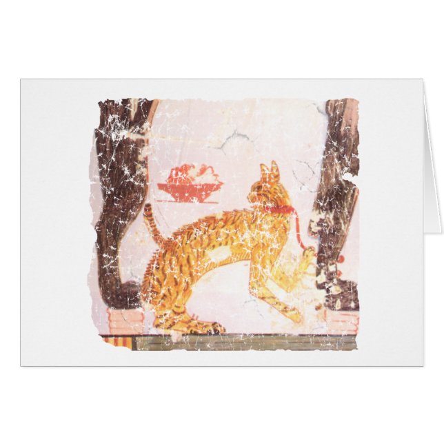 cat with collar (Front Horizontal)