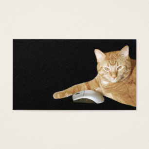 Cat with computer mouse