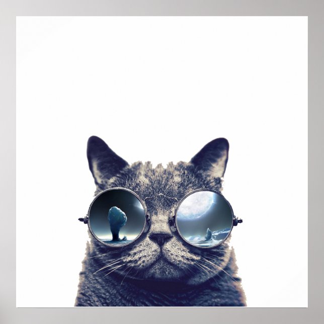 Cat with cool sunglasses poster (Front)