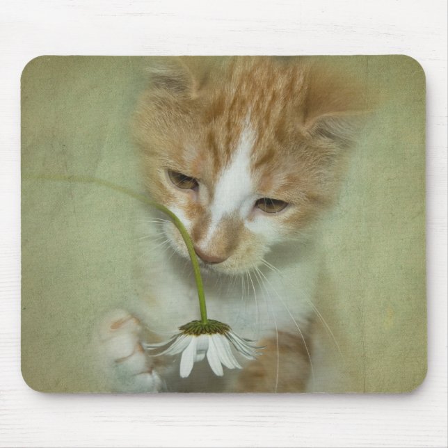 Cat With Daisy Mouse Mat (Front)