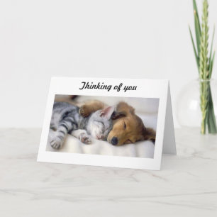 Cat with dog sympathy card