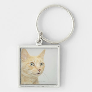 Cat with eyes open wide key ring
