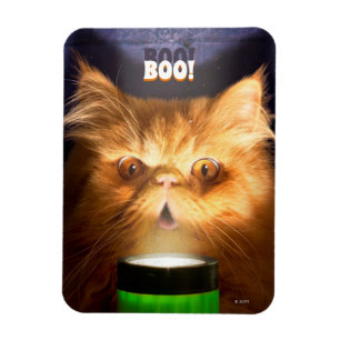 Cat With Flashlight Magnet