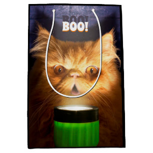 Cat With Flashlight Medium Gift Bag