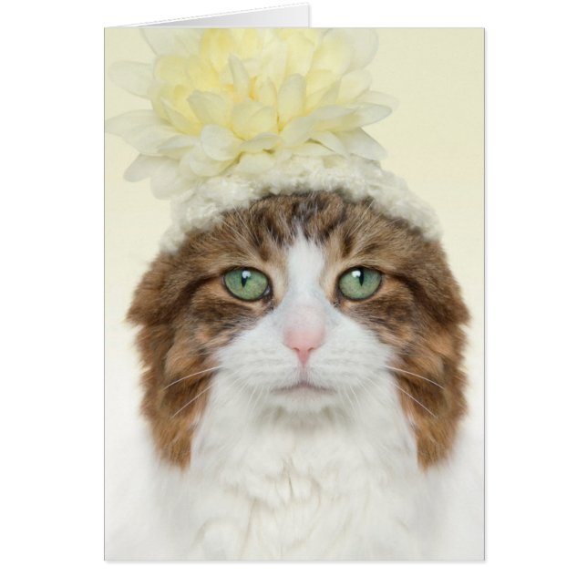 Cat With Flower Hat (Front)