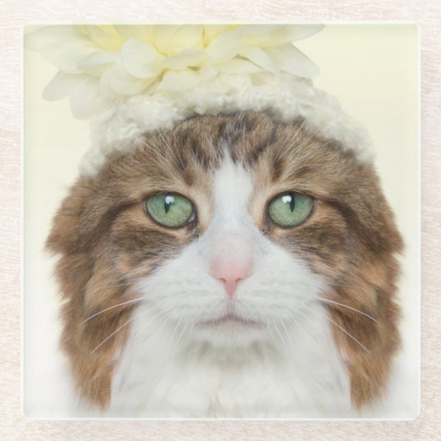 Cat With Flower Hat Glass Coaster (Front)