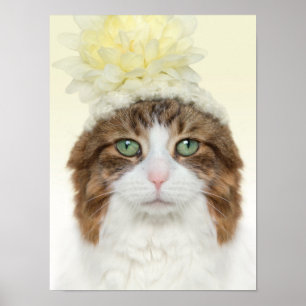 Cat With Flower Hat Poster