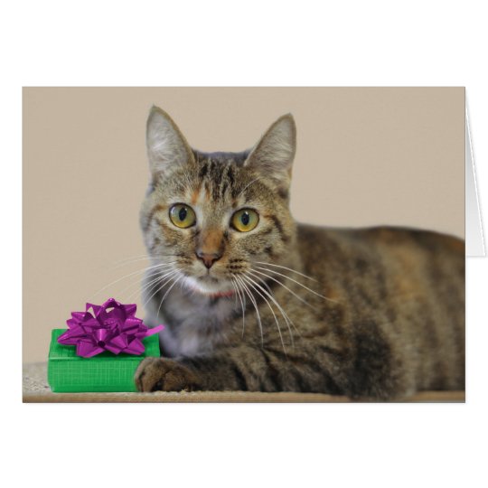 Cat with Gift Birthday Card