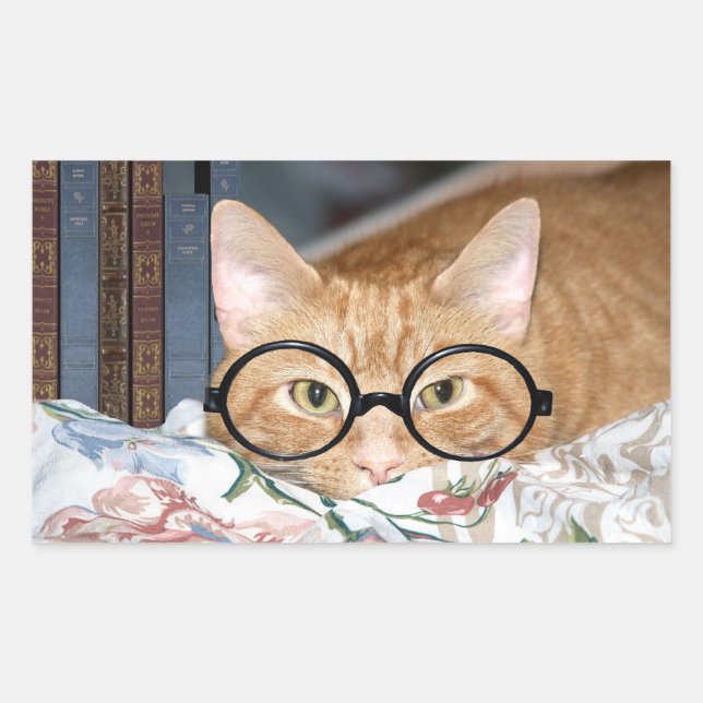 Cat with glasses and books rectangular sticker (Front)