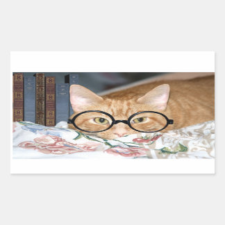 Cat with glasses and books rectangular sticker