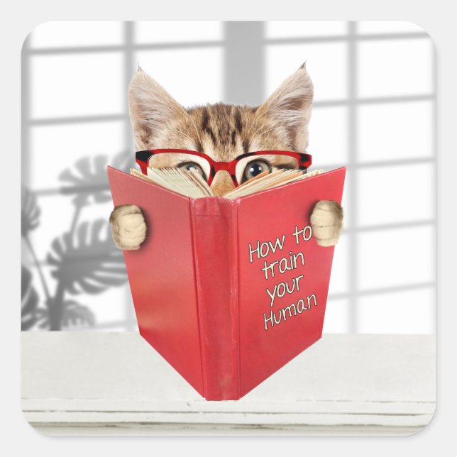 Cat with Glasses and Red Book   Square Sticker (Front)