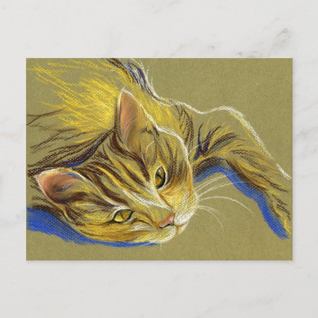 Cat with Gold Eyes - Pastel Drawing Postcard (Front)