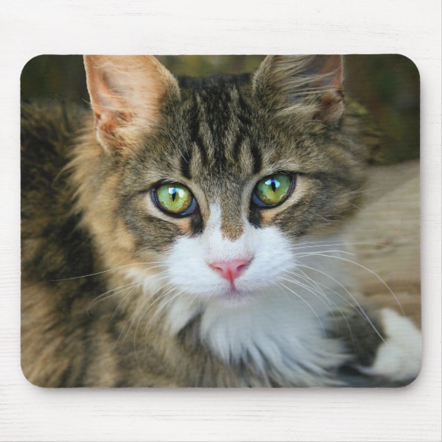 Cat With Green Eyes Mouse Mat (Front)