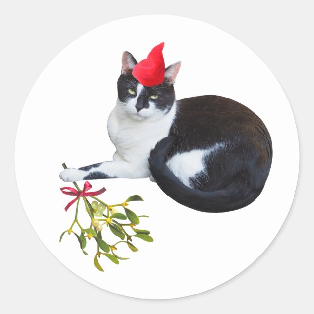Cat with Mistletoe Stickers (Front)