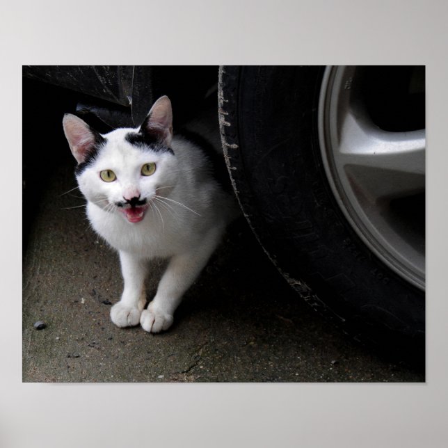 Cat with Mustache Poster (Front)