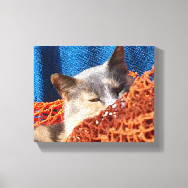 Cat with Orange Nautical Net Canvas Print (Front)