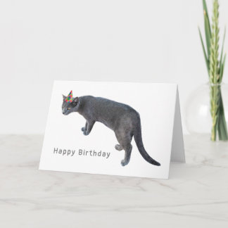 Cat with Party Hat Birthday Card