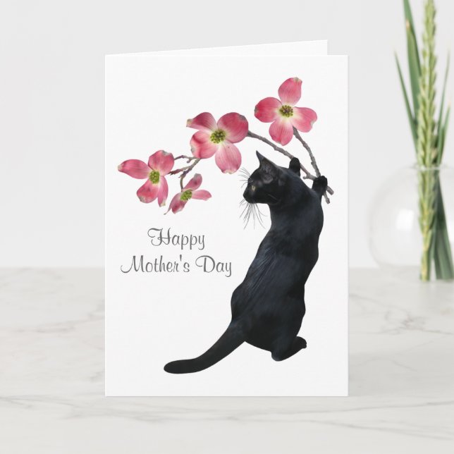 Cat with Pink Dogwood Flowers Mother's Day Card (Front)