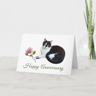 Cat with Pink Rose Anniversary Card